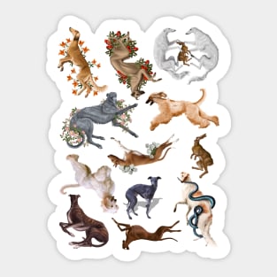 Sighthounds Sticker